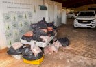 Estabelecimento é flagrado usando vísceras em carne de hambúrguer no DF