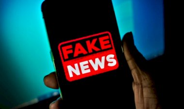 O Perigo das Fake News nas Eleições do Entorno de Brasília: Ameaça à Democracia Local
