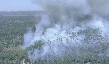 Incêndio Destrói Quase Metade da Floresta Nacional de Brasília: Situação Controlada, Mas Parque Segue Fechado